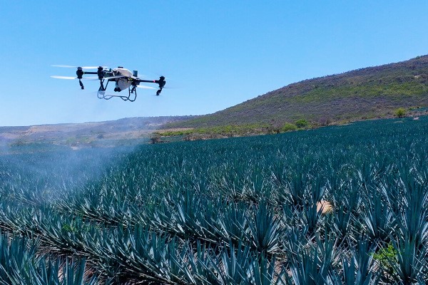 Crop Protection Photo