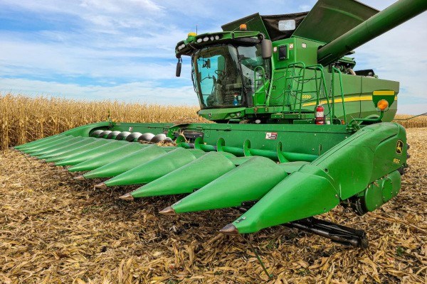 Stalk Rollers Photo