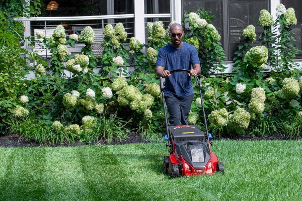 Walk Behind Mowers Photo