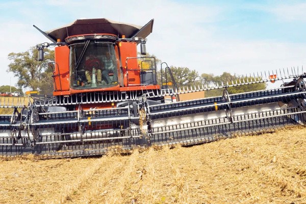 FD2 PLUS Series FlexDraper® Photo