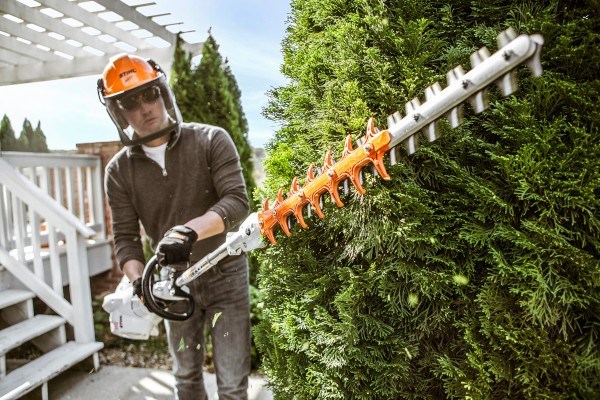 Professional Hedge Trimmers Photo