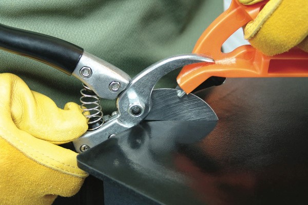 Gardening Accessories Photo