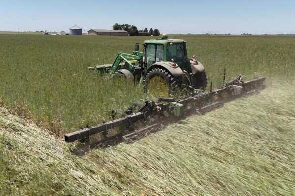 Cover Crop Roller Photo