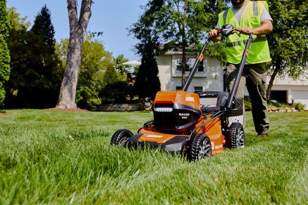 Lawn Mowers Photo