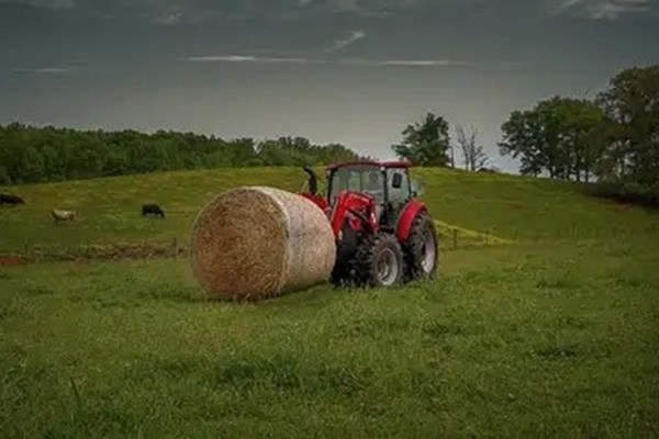 Farmall Small Utility C Series Photo