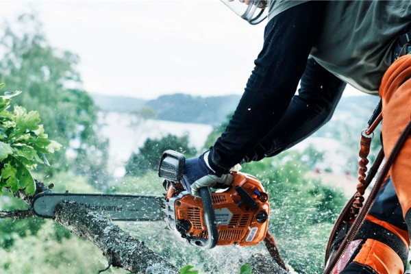 Chainsaws & Forestry Tools Photo