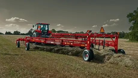 Wheel Rakes