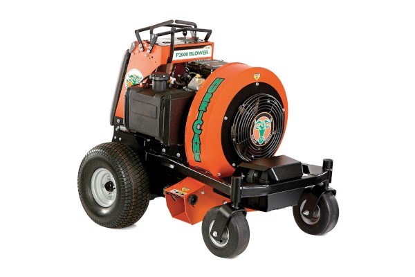 P2000 Hurricane™ Blower Photo