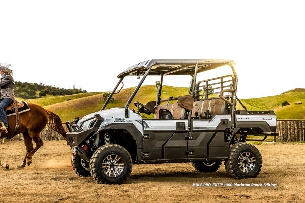 Utility/Recreation Mule Photo