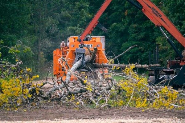 Whole Tree Chippers Photo