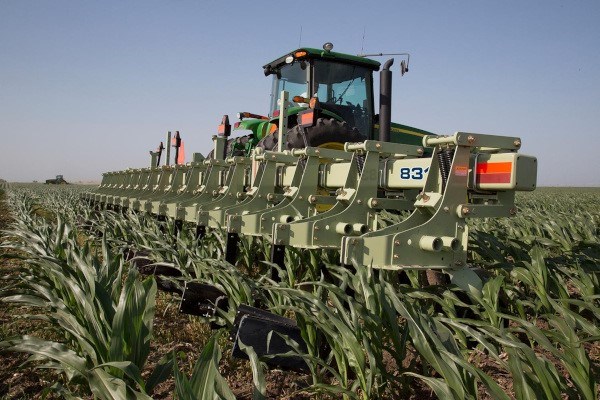 Row Crop Cultivators 8000-Series Photo