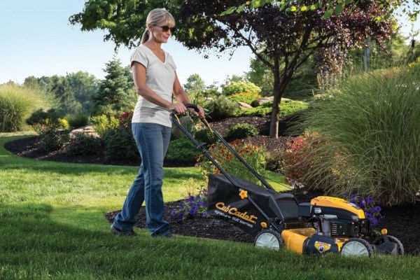 Walk-Behind Mowers Photo