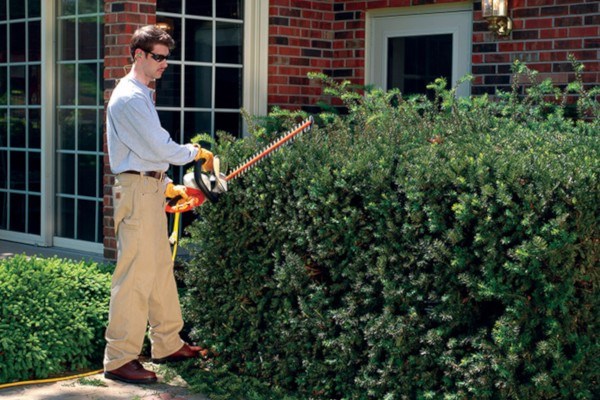 Electric Hedge Trimmers Photo