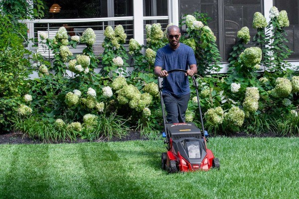 Lawn Mowers Photo