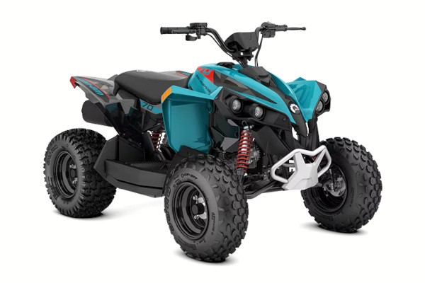Can-Am Youth ATVs for Sale in Hiawassee, GA | Kids ATVs