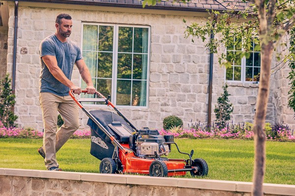 Gas Push Mowers Photo