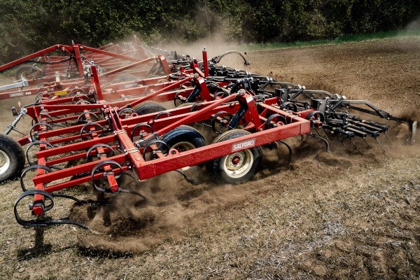 Two Piece S-Tine Photo