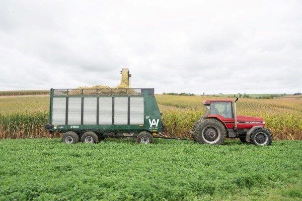 Hay & Forage Photo