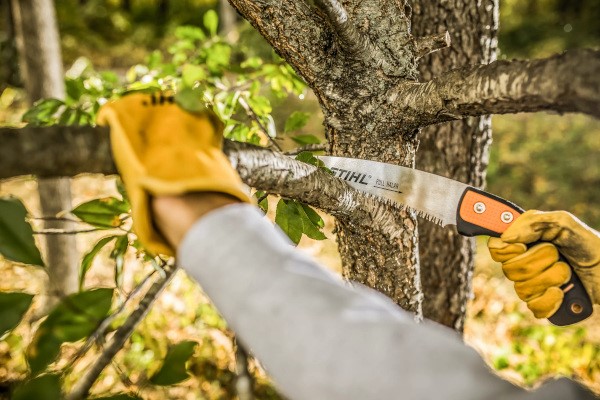 Hand Pruning Saws Photo