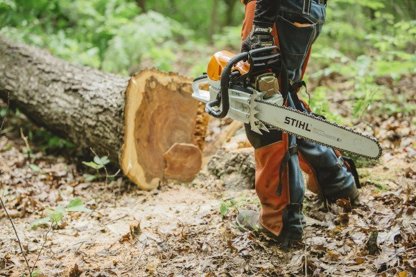 Rescue Saws Photo