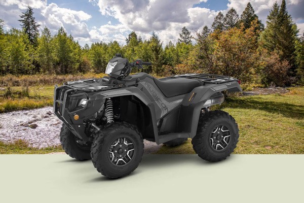 FourTrax Foreman Rubicon 4x4 Photo
