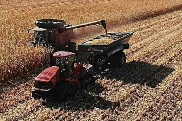 Agriculture Photo