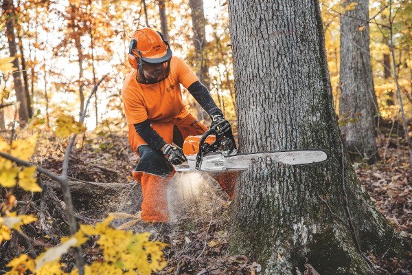 Professional Saws Photo