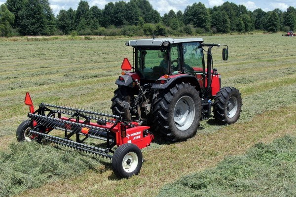 Hay Teddeers Photo