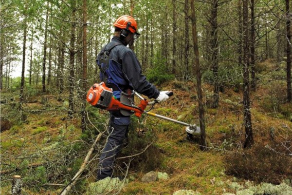 Forestry Clearing Saws Photo