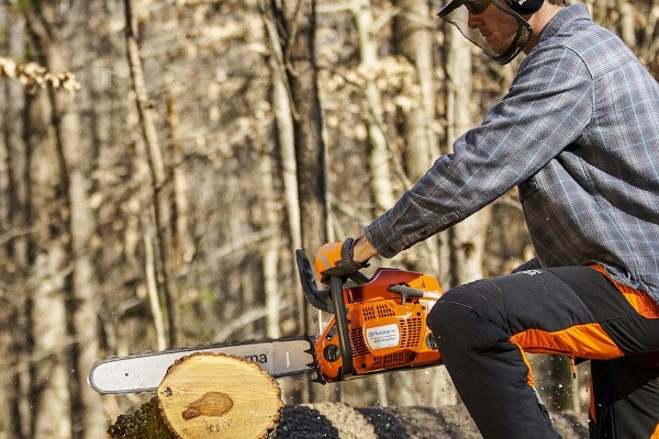 Chainsaws Photo