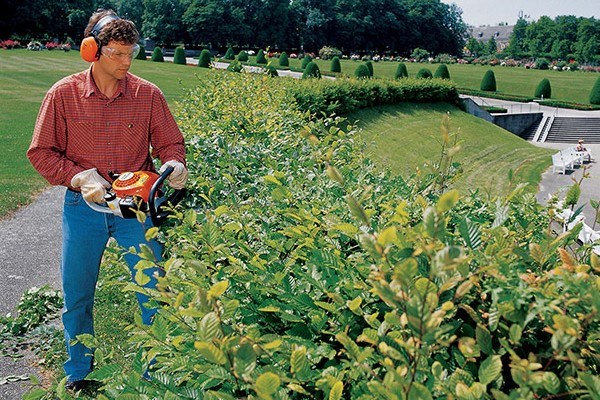 Homeowner Hedge Trimmers Photo