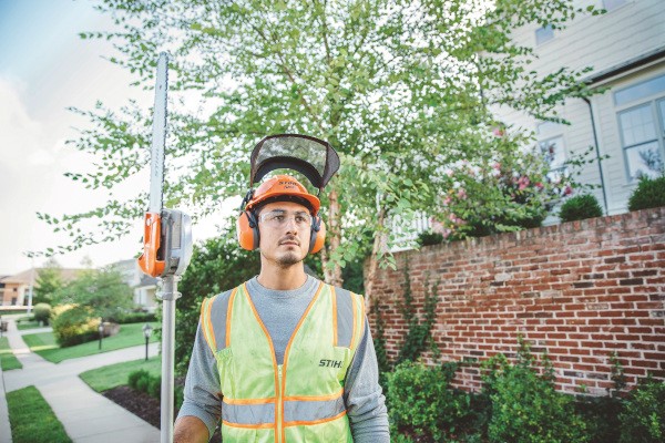 Professional Pole Pruners Photo