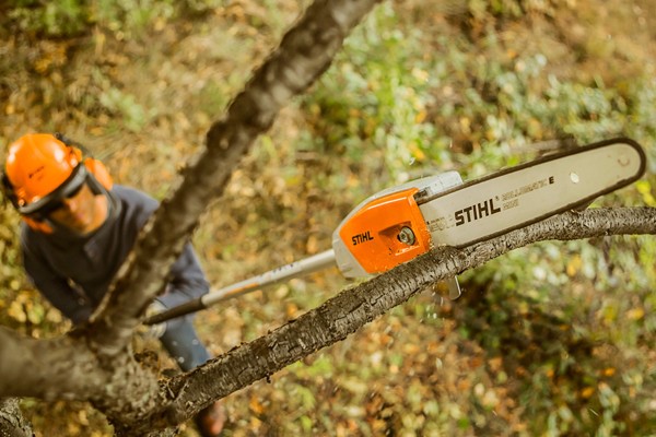 Pole Pruners Photo