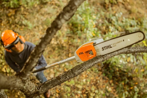 Pole Pruners Photo