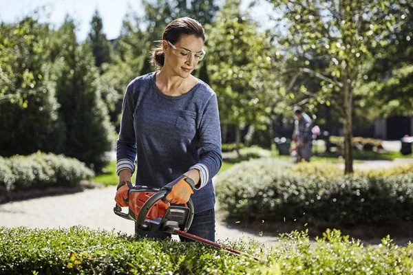Hedge Trimmers Photo