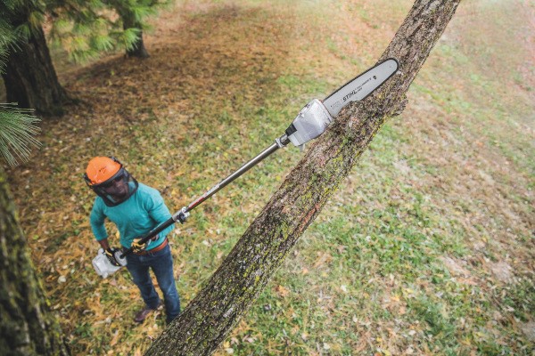 Homeowner Pole Pruners Photo