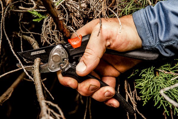 Hand Pruners Photo