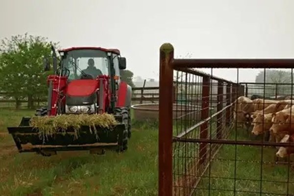 Farmall Utility 65C Photo