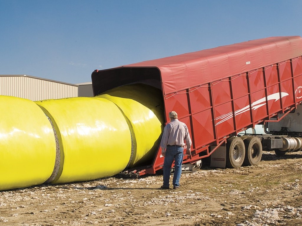 Harvest Identification, Cotton Pro Photo