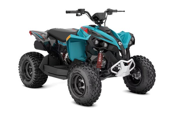 Renegade 70 EFI Renegade 70 EFI