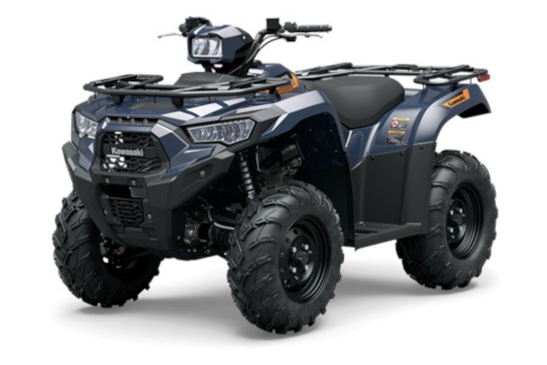 2026 BRUTE FORCE® 450 4x4 Photo