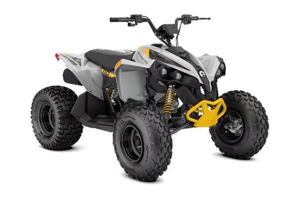 Renegade 110 EFI Renegade 110 EFI