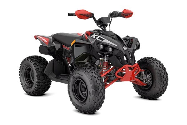 Renegade X XC 110 EFI Renegade X XC 110 EFI