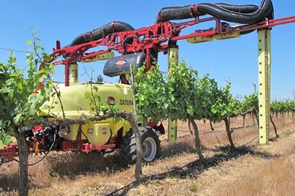 ZATURN vine Photo