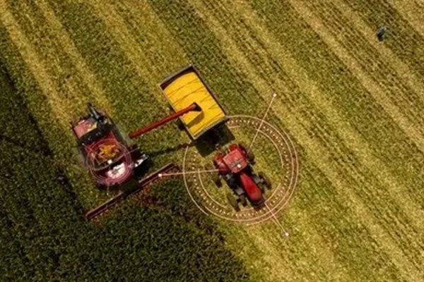 Cart Automation Photo
