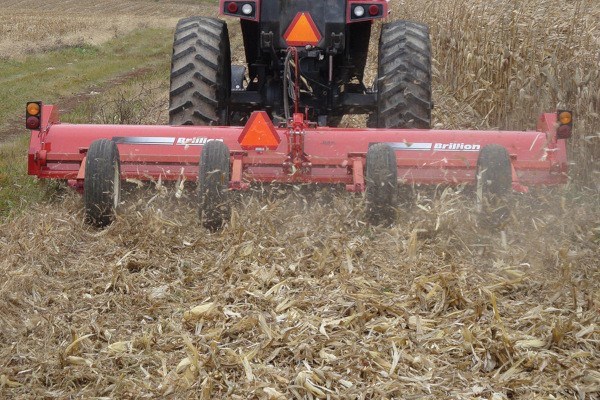 FS1446 Photo