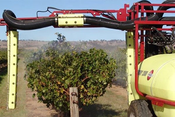 MERCURY vine Photo