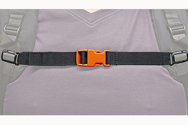 Chest Strap Photo