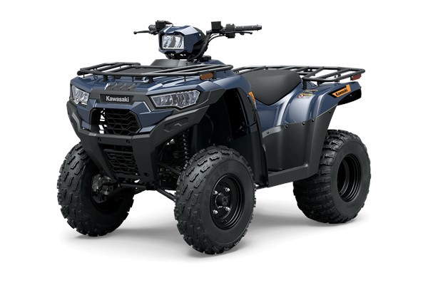 2026 BRUTE FORCE® 300 Photo