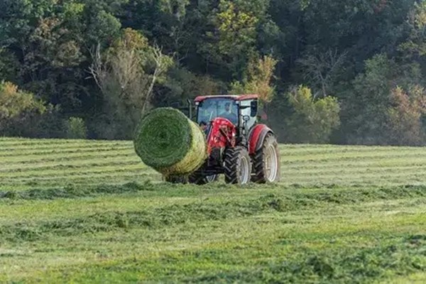 Farmall Utility 90C Photo